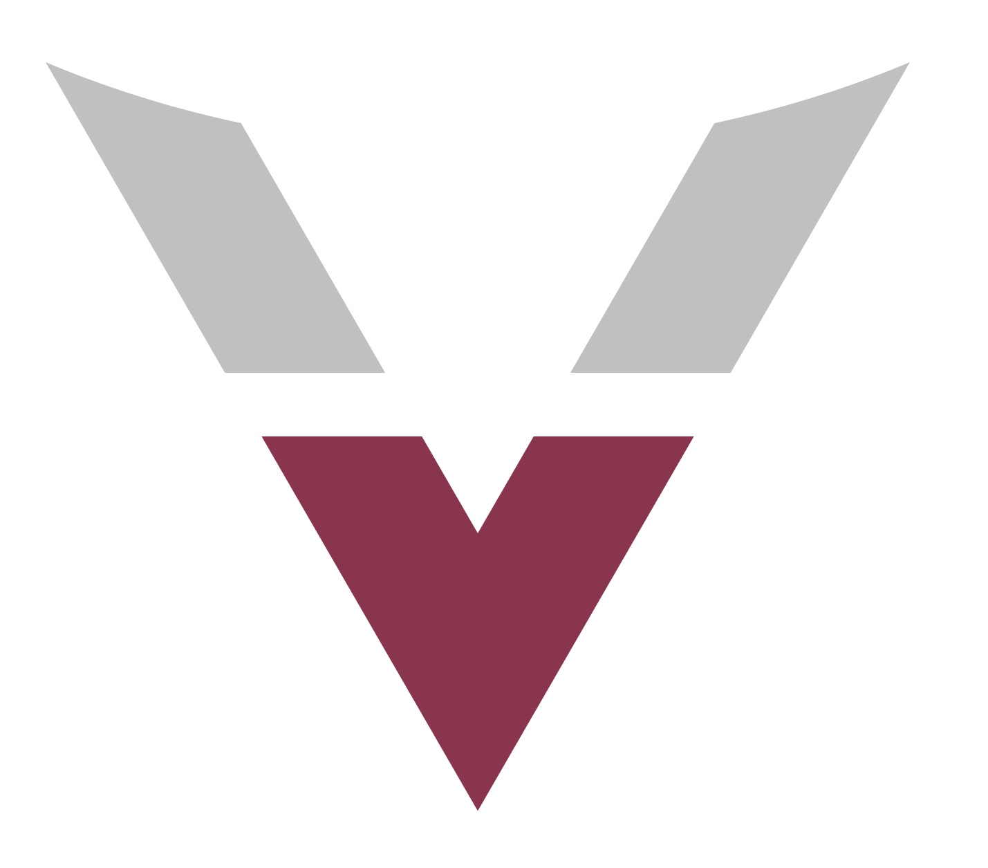 Velocity Agency Logo