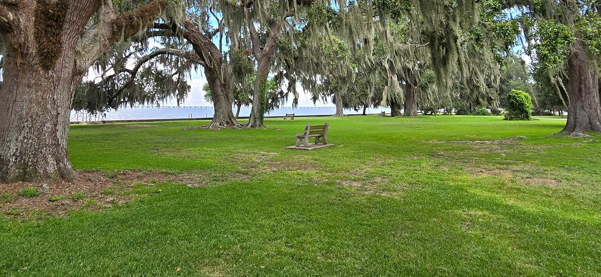 A Velocity Agency brand strategy specialist developing a tailored marketing plan for a client in Mandeville.